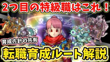 【ドラクエウォーク】新規向け！そろそろ2つ目の特級職を考えよう！育成ルートを徹底解説！！【DQW】