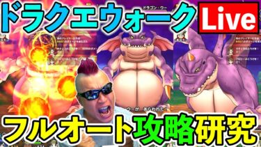 【ドラクエウォーク】ドラゴンウーをフルオートで安定させる為の生放送