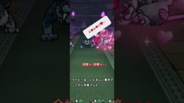 【ドラクエウォーク】【DQW】シャドーベビーのコテン！が可愛すぎる！！