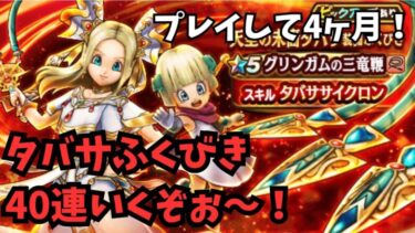 【ドラクエウォーク】 プレイして4ヶ月　タバサふくびき40連！【初見さん大歓迎】