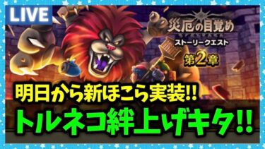 【ドラクエウォーク】みんな大好きトルネコの絆レベル上げが来た！！！【雑談放送】