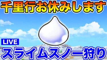 【ドラクエウォーク】今週は千里行やりません。スラ雪玉を集めます!!【DQW】