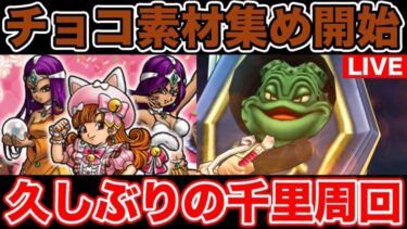 【ドラクエウォーク】久しぶりに週末千里頑張ります!! チョコ素材も集めないと…【DQW】