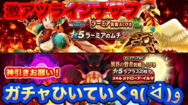 【ドラクエウォーク】激アツラインナップ！ガチャ引いていく【ラーミアの鞭】【ラプラスの杖】