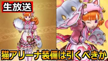 【ドラクエウォーク】にゃんにゃんアリーナ装備ガチャは引くべきかの作戦会議！