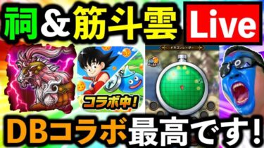 【ドラクエウォーク】DBコラボ進め方 ＆ 新祠情報共有生放送！