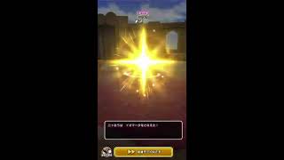 【なかまモンスター】縦配信でまったりなかもん対戦してるよ【ドラクエウォーク】
